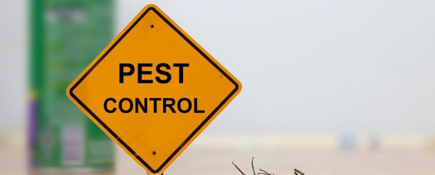 Pest Control Guide and Solutions For Pest Management in Fourways South Africa