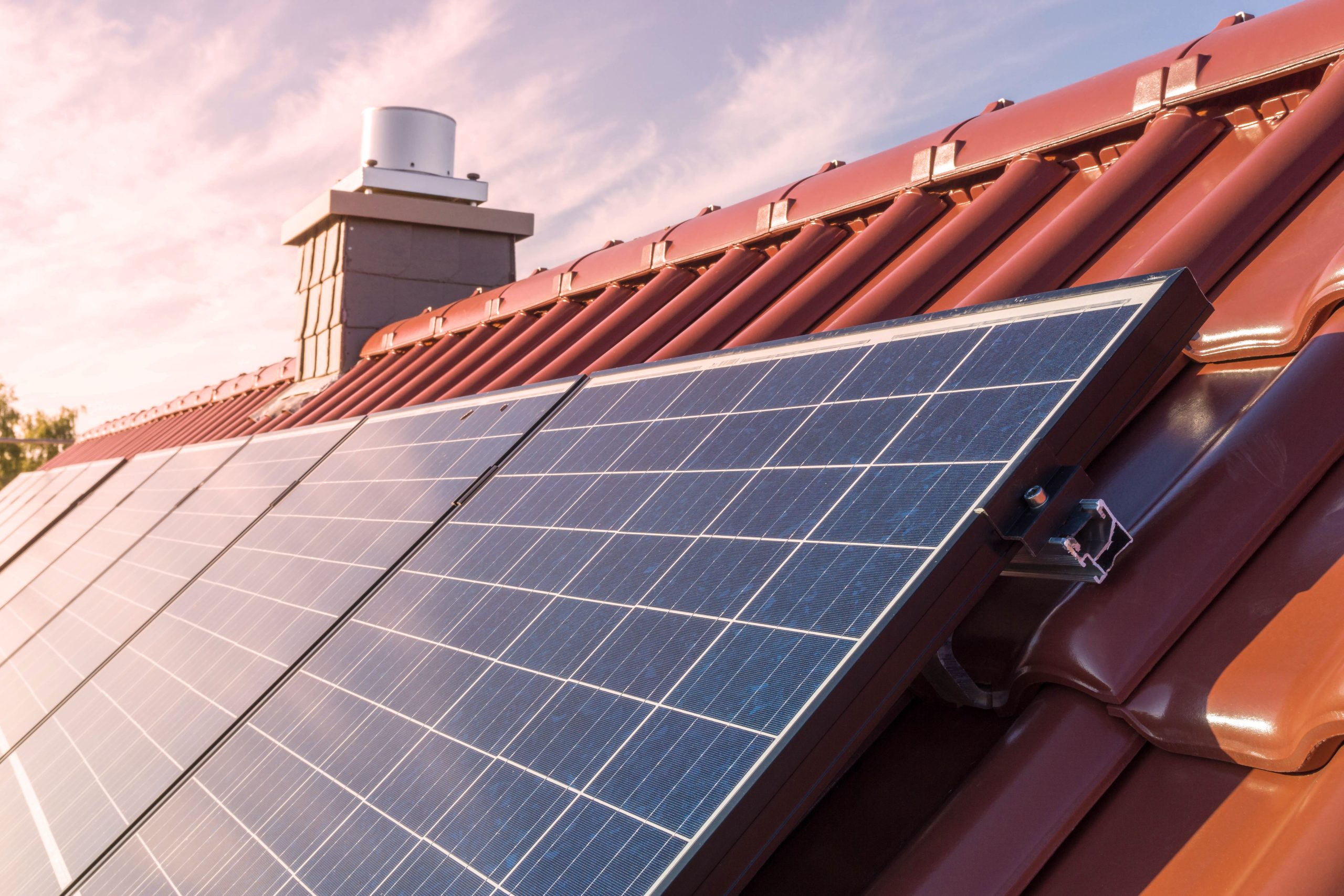 Climate Change Adaptation: Modern roofing with solar panels showing eco-friendly approach to termite control 
